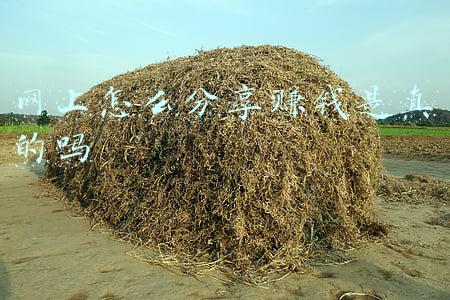 建造师课件分享网(2021一级建造师，二级建造师最全最新课件来啦)