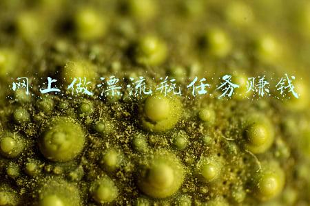 网上做漂流瓶任务赚钱