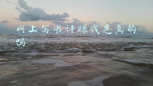 网上写书评赚钱是真的吗