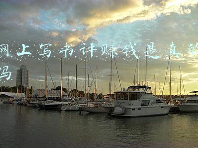 网上写书评赚钱是真的吗