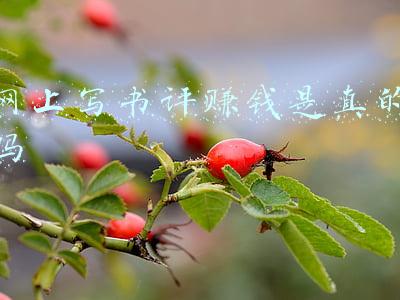 网上写书评赚钱是真的吗