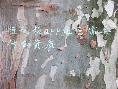 app上架需要什么资质(APP上架是否需要办理ICP许可证？看完你就明白了)
