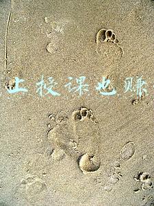 雅思网上授课(雅思官方：口语在线练习“IELTS SpeakUP”重磅上线)