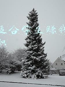 湛江适合学生赚钱的网上兼职