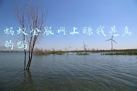 蚂蚁金服赚钱是真的吗 网友(刷单赚钱、赌博稳赢 这些电诈骗局就在你身边)