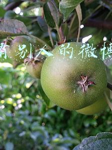 网上有别人的微博号赚钱