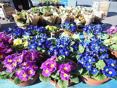 北京银行网上银行(远程智联 慧聚京彩 北京银行升级设立远程银行中心)