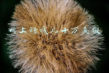 网上赚钱几十万真假