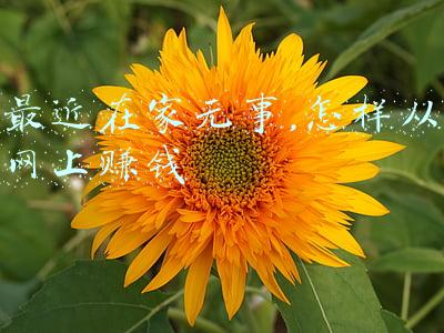 在家无事可做怎么办(废掉一个人最快的方法：让他整天闲着、闲着、闲着)