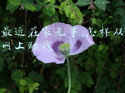 在家可知天下事ppt(企业微信又迎来了重大更新，4.0版本上线一大波新功能)