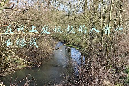 在网上发视频的人靠什么赚钱