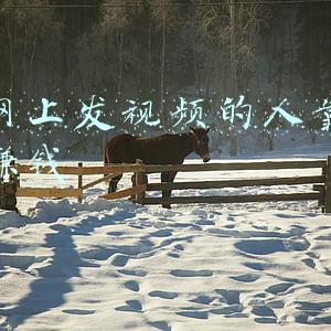 剃超长发视频优酷网(投影仪和电视比的那一刻，你就输了)