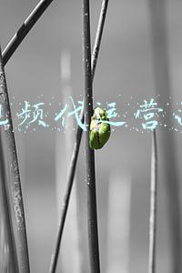 短视频代运营面试