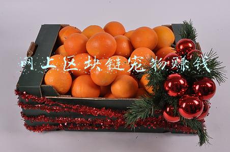 区块链宠物游戏骗局(玩元宇宙游戏能赚钱？业内人士：警惕游戏中暗藏骗局)