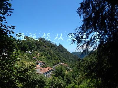 短视频从业运营