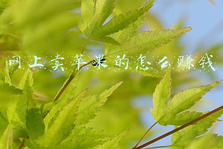 网上卖苹果的怎么赚钱