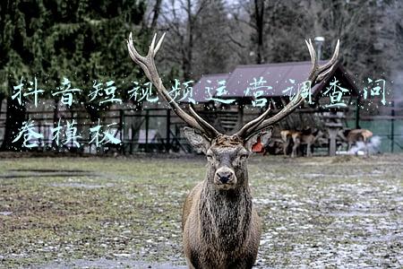 关于抖音使用情况调查问卷模板(关于自媒体深燃报道失实的说明)