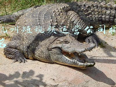 杭州短视频运营公司排名