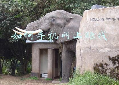 如何利用手机在网上赚钱(如果你还不知道用手机赚钱，一定要看这篇文章)