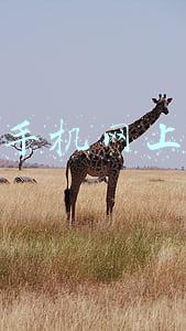 手机游戏如何赚钱(开服首月23亿流水，手游赚钱方式有哪些？)