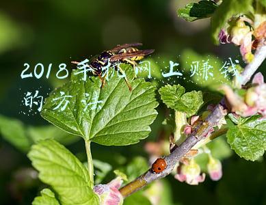 39手机网(曲靖被骂得最惨饭店老板，每天排队半小时，名下两套房一辆奔驰)