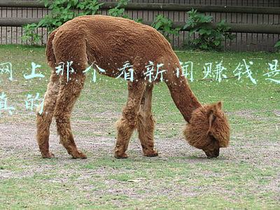 看什么新闻赚钱(“刷新闻赚钱”APP爆发，腾讯都入场了！但人民日报调查发现...)