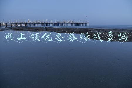 优惠券平台真的能赚钱吗(吹“返利”、拉代理、被理财……优惠券平台“分享赚钱”的猫腻)