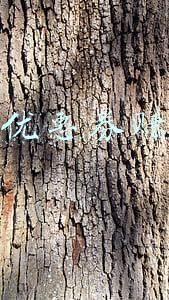 领优惠券赚佣金是真的吗(惕！以“领取、分享优惠券”为由的骗局来袭！)