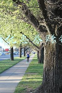 steam优惠券哪里领(史诗级白嫖！送10美金优惠券，Epic万圣特惠多3A大作白菜价带走)