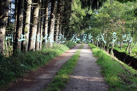 当当网怎么领优惠券(当当给了我5000个优惠码，让618抄底买书更划算，先到先得)