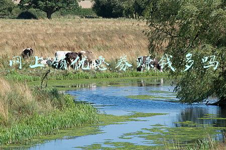 淘宝网怎么领优惠券(超多细节，用一篇文章带你全面了解优惠券)