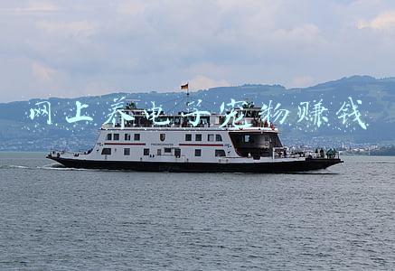网上养电子宠物赚钱