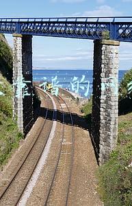 网络工作室招聘网(精选招聘 | 王嘉尔工作室TEAM WANG 招聘公告)