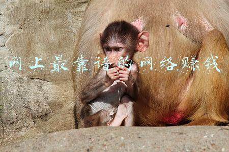 网络欺诈投诉网(警惕 遇到诈骗不要慌！认准国家反诈中心app！快速举报)