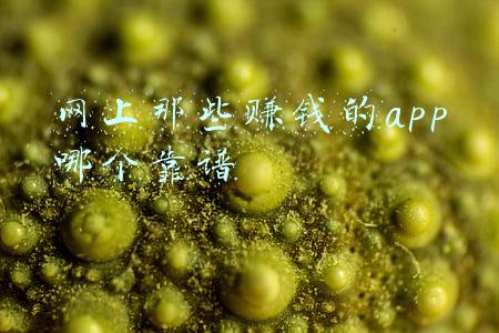 网上的赚钱app靠谱么(赚钱软件真假实测)