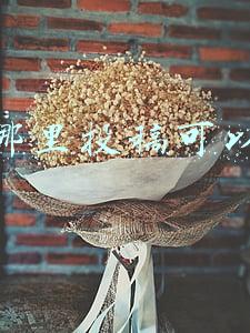 网上哪里投稿可以赚钱