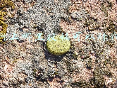 投稿赚钱网(手机照片投稿哪些平台靠谱？)