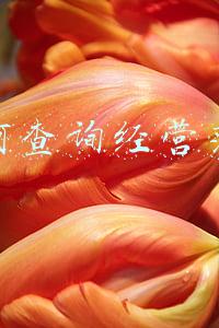 如何查询经营范围在政府门户网(经营范围在哪里查询)