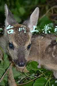 平台兼职哪个是正规的能挣到钱(有哪些正规的兼职平台？)