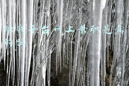 网上兼职平台靠谱吗(网上的兼职真的靠谱吗)