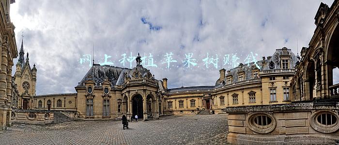种植什么果树赚百万(用20亩地种荔枝、黄皮，年入上百万，来看一位老兵变老农的舍与得)