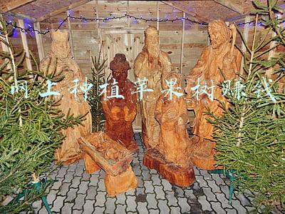 农村栽什么果树最赚钱(种植什么水果能挣钱？来看看这五种水果吧，发家致富真不难！)
