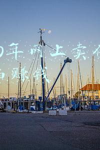2020年网上卖什么东西好(2021年终盘点｜文玩电商搭上“直播”狂飙，头部格局成型)