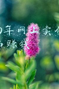 2020年网上卖什么东西赚钱