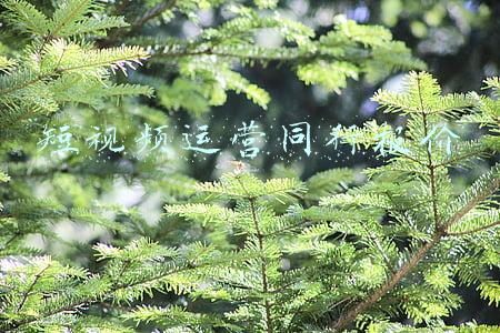 各大短视频平台运营规则(《网络短视频内容审核标准细则》修订版发布 制作和发布短视频有哪些新规？)