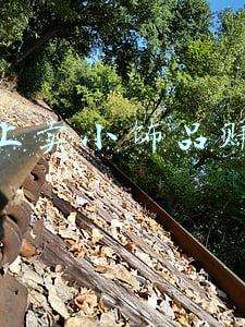 在网上卖小饰品赚钱吗