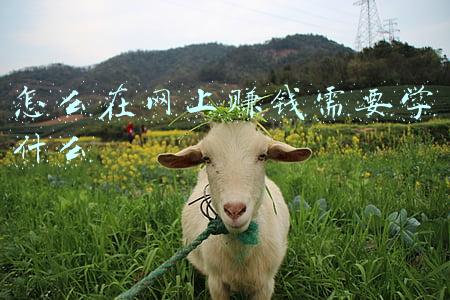 网上学什么技术可以赚钱(江承霖课堂：互联网创业如何赚到钱 学个技术是虚拟赚钱的路子)