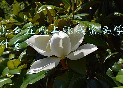 在网上做什么能赚钱(利用网络赚钱的方式有哪些？)