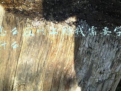 怎么在网上赚钱兼职(网络兼职赚钱指南)