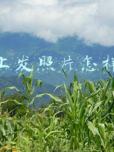 照片上传赚钱的网站(想在国外平台卖图片赚美金？给你推荐9个网站，每次下载都有收益)